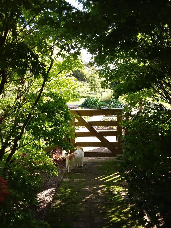 Hurunui Homestead Bed And Breakfast Hawarden Екстер'єр фото